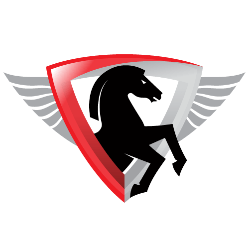 autopneuservis Svatoň Radim